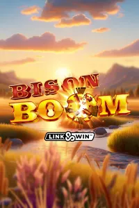 Bison Boom